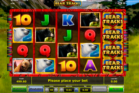 bear tracks novomatic spielautomaten