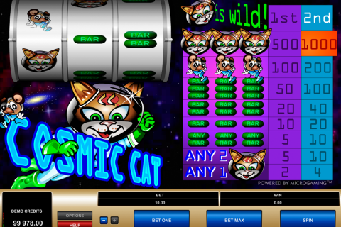 cosmic cat microgaming spielautomaten