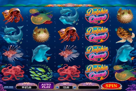 dolphin quest microgaming spielautomaten