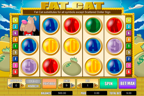 fat cat amaya spielautomaten