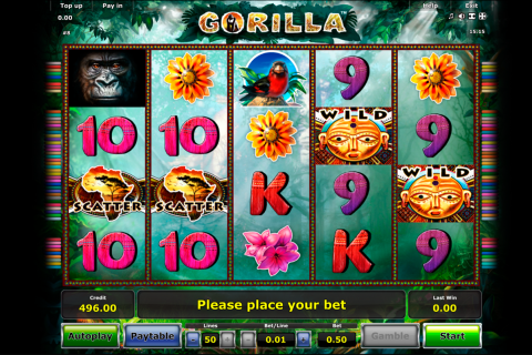 gorilla novomatic spielautomaten