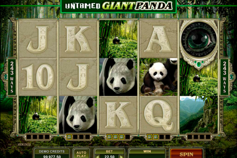 untamed giant panda microgaming spielautomaten