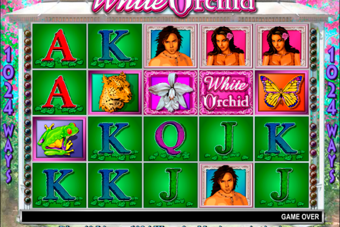 white orchid igt spielautomaten