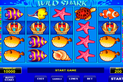 wild shark amatic spielautomaten